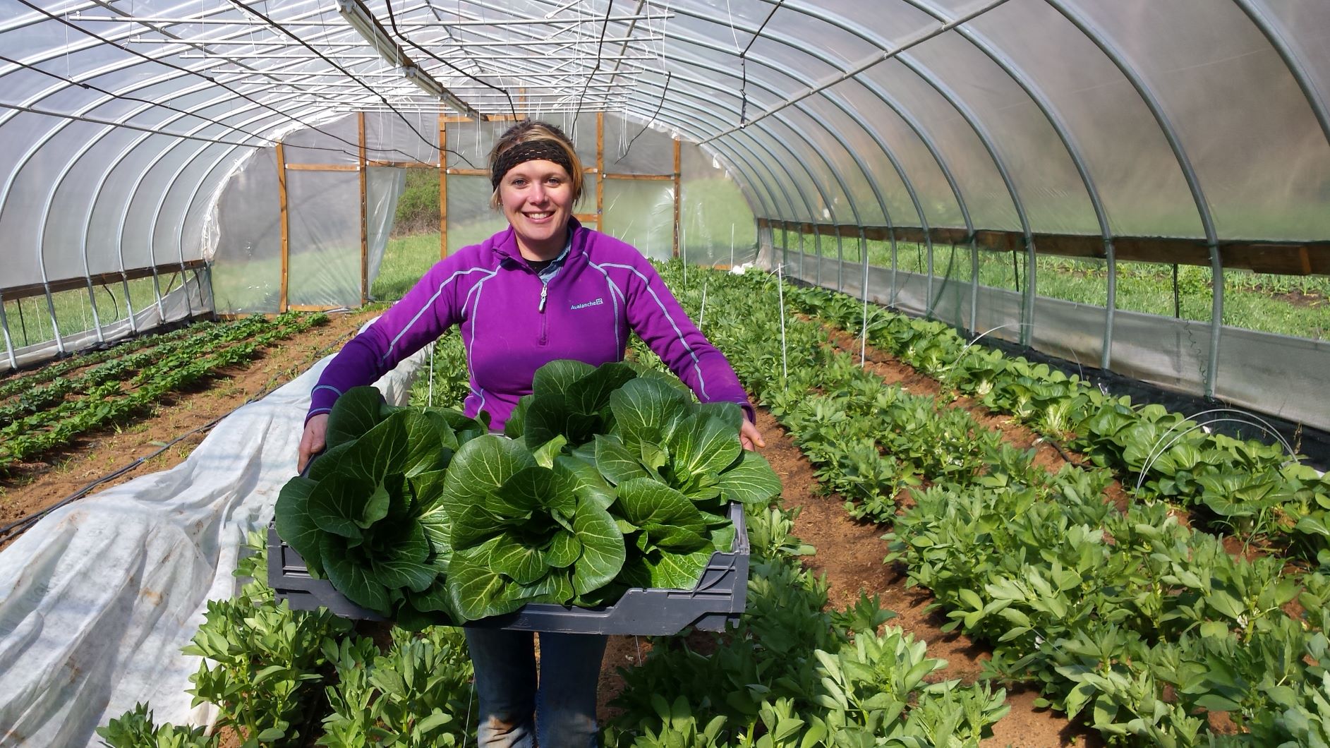 Floyd Farm and Food Products Shop Floyd Virginia